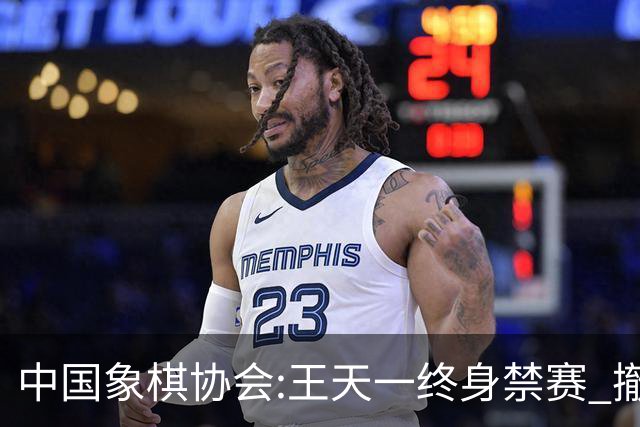 中国象棋协会:王天一终身禁赛 撤销特大等称号